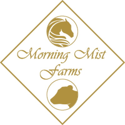 Morning Mist Soap logo